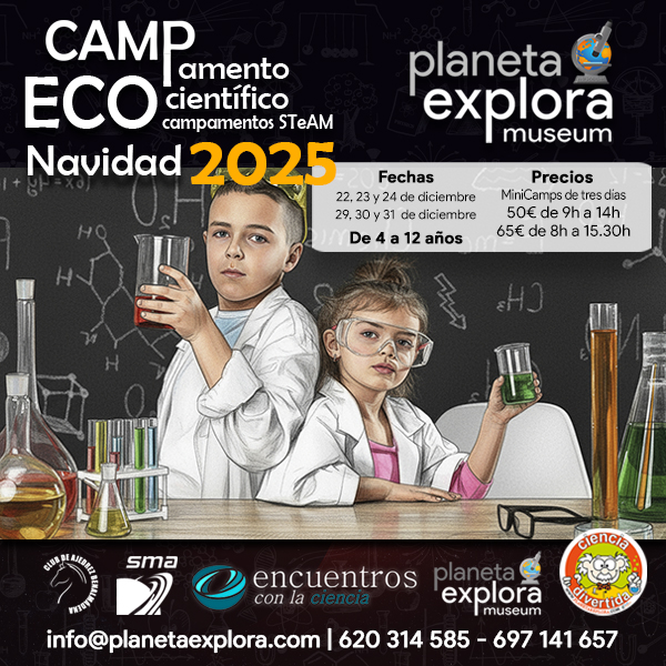 campamentos navidad 2025